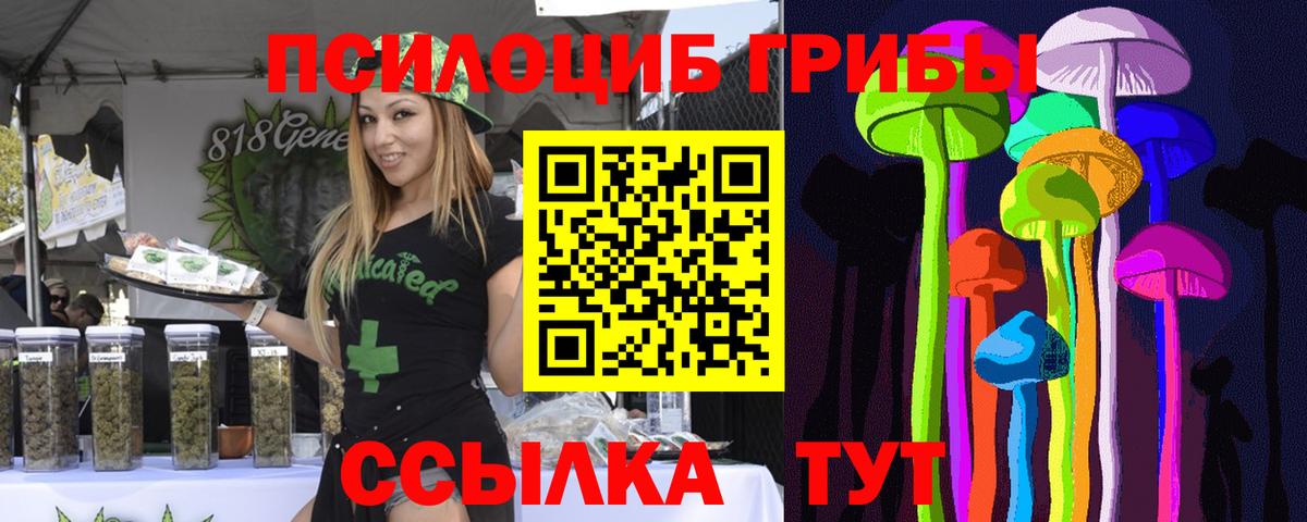 Псилоцибиновые грибы GOLDEN TEACHER  Вход с VPN  магазин    Губкин 